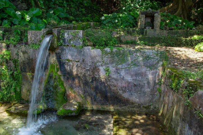 🏞️ 가키노하나 샘 (가키노하나 히자) 이미지 7